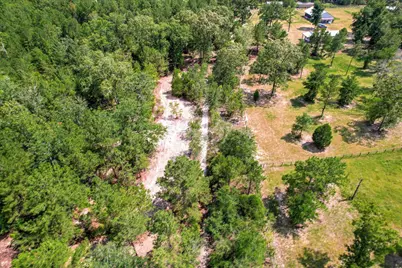 1150 Bethcar Church Road, Wagener, SC 29164 - Photo 13