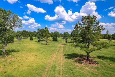 1150 Bethcar Church Road, Wagener, SC 29164 - Photo 17
