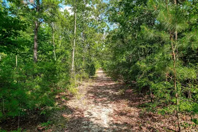 1150 Bethcar Church Road, Wagener, SC 29164 - Photo 3