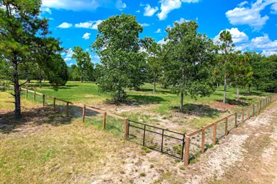 1150 Bethcar Church Road, Wagener, SC 29164 - Photo 19