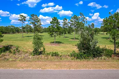 1150 Bethcar Church Road, Wagener, SC 29164 - Photo 1
