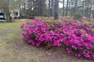 865 Trail Ridge Rd, Aiken, SC 29803 - Photo 53