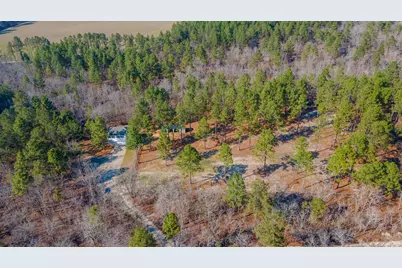 316 Cadle Crossing Road, Windsor, SC 29856 - Photo 11
