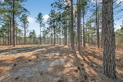 316 Cadle Crossing Road, Windsor, SC 29856 - Photo 3