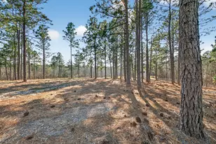 316 Cadle Crossing Rd, Windsor, SC 29856 - Photo 3