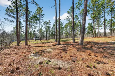 316 Cadle Crossing Road, Windsor, SC 29856 - Photo 5