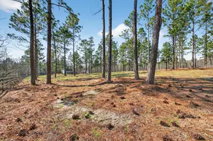 316 Cadle Crossing Rd, Windsor, SC 29856 - Photo 5