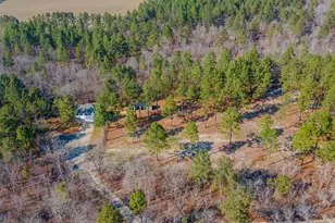 316 Cadle Crossing Rd, Windsor, SC 29856 - Photo 11