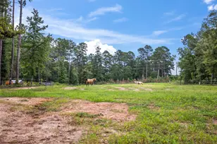 1061 Outaways Rd, Aiken, SC 29803 - Photo 27