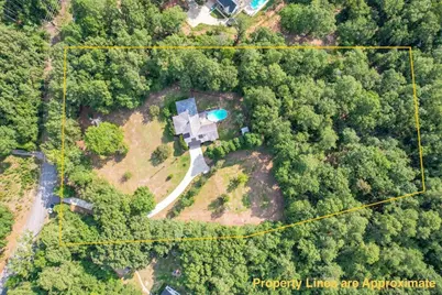 255 Hill and Dell Drive, Warrenville, SC 29851 - Photo 5