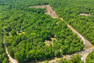 380 Windy Ridge Rd, Trenton, SC 29847 - Photo 31