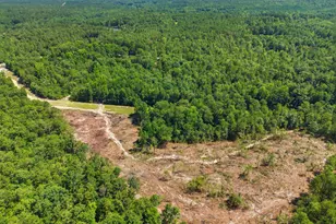 380 Windy Ridge Rd, Trenton, SC 29847 - Photo 7