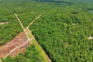 380 Windy Ridge Rd, Trenton, SC 29847 - Photo 33