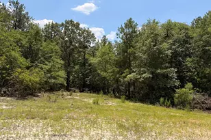 380 Windy Ridge Rd, Trenton, SC 29847 - Photo 25
