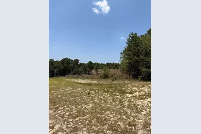 380 Windy Ridge Road, Trenton, SC 29847 - Photo 5