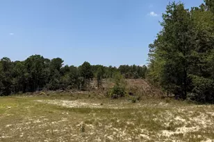 380 Windy Ridge Rd, Trenton, SC 29847 - Photo 5