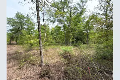 Rrf 1 Rogers Cemetery Road #Rrf 1, Salley, SC 29137 - Photo 25