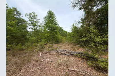 Rrf 1 Rogers Cemetery Road #Rrf 1, Salley, SC 29137 - Photo 13