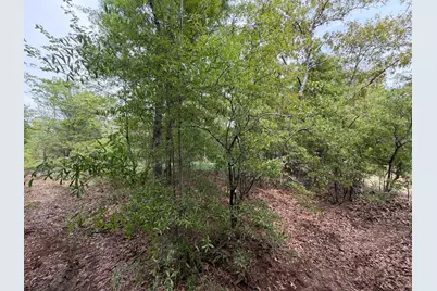 Rrf 1 Rogers Cemetery Road #Rrf 1, Salley, SC 29137 - Photo 7