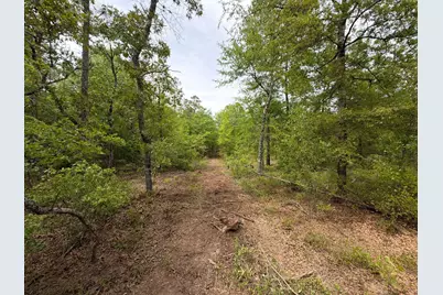 Rrf 1 Rogers Cemetery Road #Rrf 1, Salley, SC 29137 - Photo 11