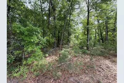 Rrf 1 Rogers Cemetery Road #Rrf 1, Salley, SC 29137 - Photo 35