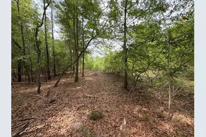 Rrf 1 Rogers Cemetery Road #Rrf 1, Salley, SC 29137 - Photo 21