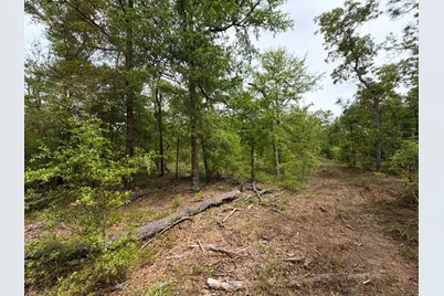 Rrf 1 Rogers Cemetery Road #Rrf 1, Salley, SC 29137 - Photo 15