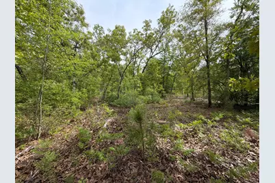 Rrf 1 Rogers Cemetery Road #Rrf 1, Salley, SC 29137 - Photo 33