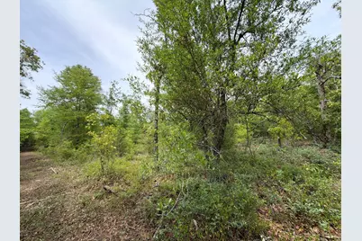 Rrf 1 Rogers Cemetery Road #Rrf 1, Salley, SC 29137 - Photo 9