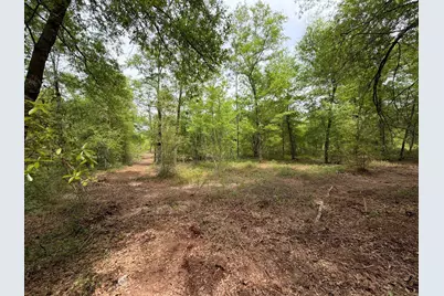 Rrf 1 Rogers Cemetery Road #Rrf 1, Salley, SC 29137 - Photo 23