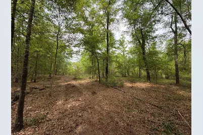 Rrf 1 Rogers Cemetery Road #Rrf 1, Salley, SC 29137 - Photo 17