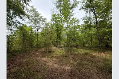 Rrf 1 Rogers Cemetery Road #Rrf 1, Salley, SC 29137 - Photo 19
