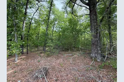 Rrf 1 Rogers Cemetery Road #Rrf 1, Salley, SC 29137 - Photo 37