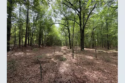 Rrf 4 Rogers Cemetery Road #Rrf 4, Salley, SC 29137 - Photo 13