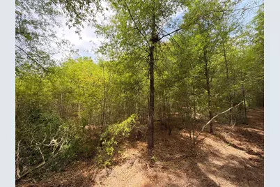 Rrf 4 Rogers Cemetery Road #Rrf 4, Salley, SC 29137 - Photo 7