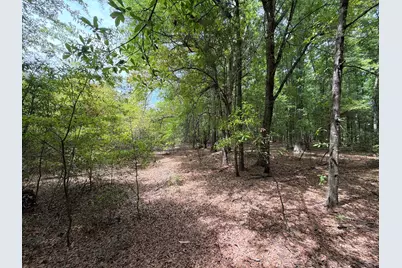 Rrf 4 Rogers Cemetery Road #Rrf 4, Salley, SC 29137 - Photo 11