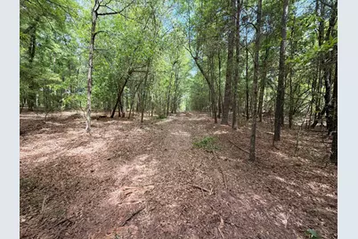 Rrf 4 Rogers Cemetery Road #Rrf 4, Salley, SC 29137 - Photo 9