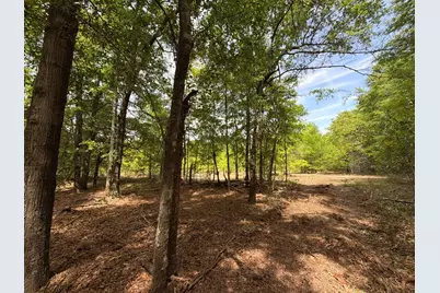 Rrf 4 Rogers Cemetery Road #Rrf 4, Salley, SC 29137 - Photo 17