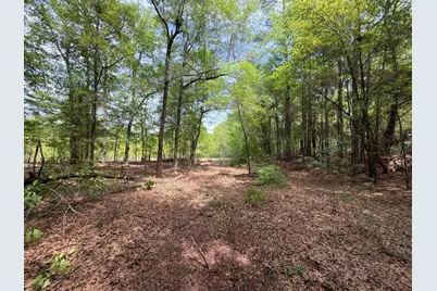 Rrf 4 Rogers Cemetery Road #Rrf 4, Salley, SC 29137 - Photo 15