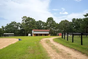 784 Wrights Mill Rd, Aiken, SC 29801 - Photo 53