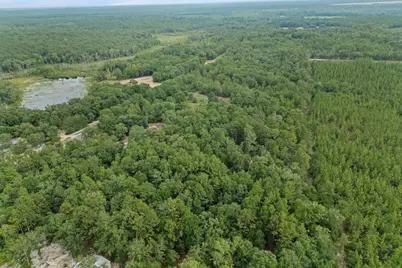 664 S Dixie Road, Wagener, SC 29164 - Photo 55