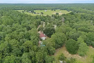 664 S Dixie Rd, Wagener, SC 29164 - Photo 3