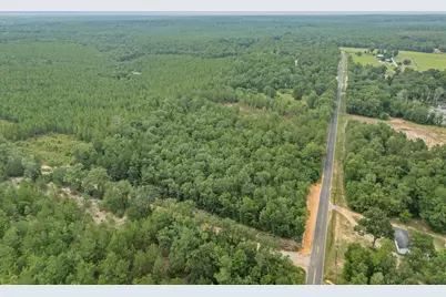 664 S Dixie Road, Wagener, SC 29164 - Photo 55