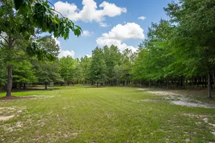 232 Colbert Bridge Rd, Windsor, SC 29856 - Photo 49