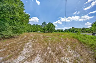 3302 Concord Church Rd, Allendale, SC 29810 - Photo 25