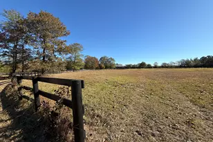 1988 Coleman Bridge Rd, Wagener, SC 29164 - Photo 17