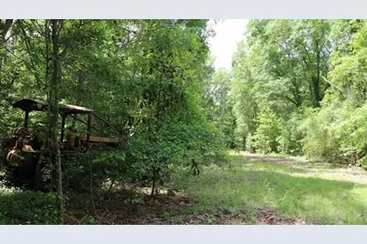 1091 Pine Grove Road, Batesburg-Leesville, SC 29006 - Photo 11