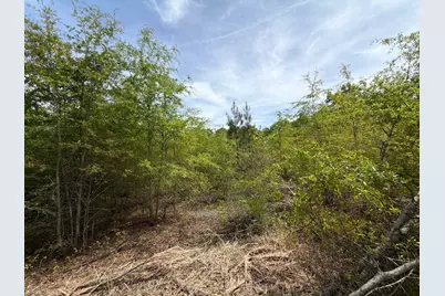 Rrf 5 Rogers Cemetery Road #Rrf 5, Salley, SC 29137 - Photo 21
