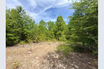 Rrf 5 Rogers Cemetery Road #Rrf 5, Salley, SC 29137 - Photo 9