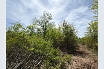 Rrf 5 Rogers Cemetery Road #Rrf 5, Salley, SC 29137 - Photo 17